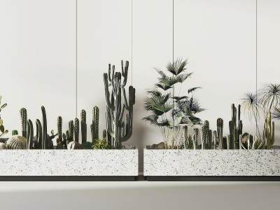 现代仙人掌植物堆